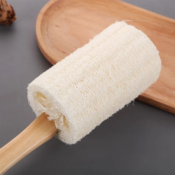 Loofah Shower Brush