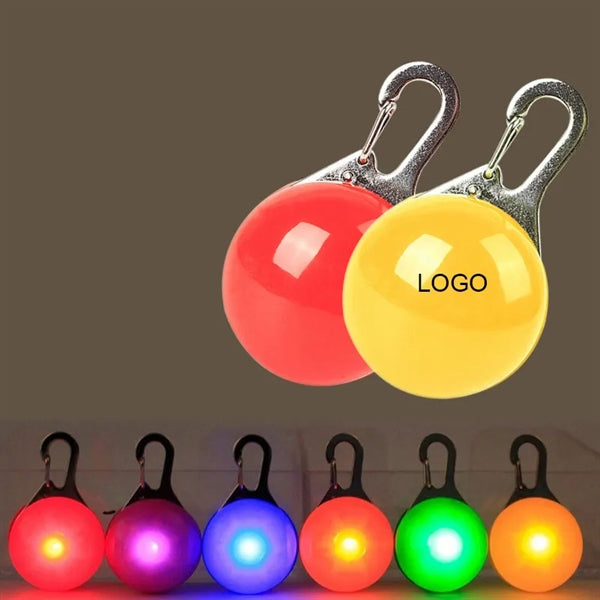 Pet Light And LED Keychain