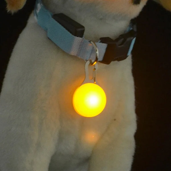 Pet Light And LED Keychain