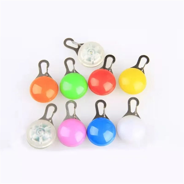 Pet Light And LED Keychain