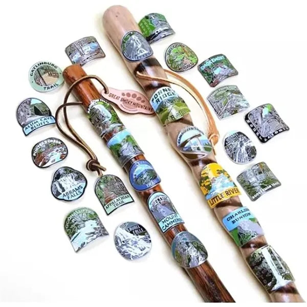 Hiking/Walking Stick Medallion