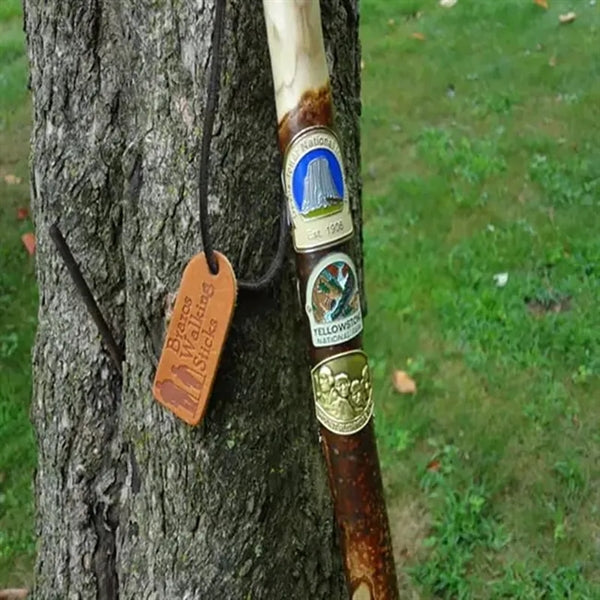 Hiking/Walking Stick Medallion
