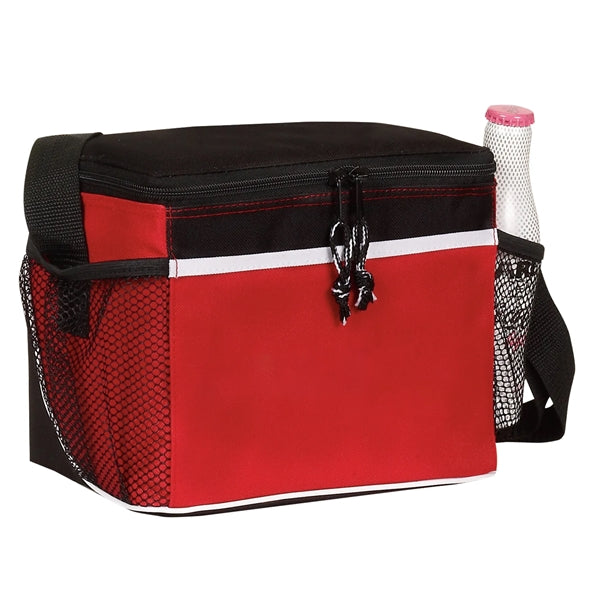 Spectrum Frosted Insulated 6 Pack Cooler