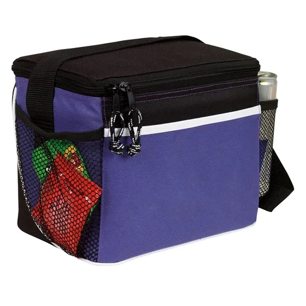 Spectrum Frosted Insulated 6 Pack Cooler