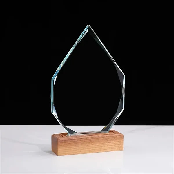 Trophy Award