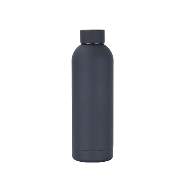 16 OZ Frosted Insulated Water Bottle