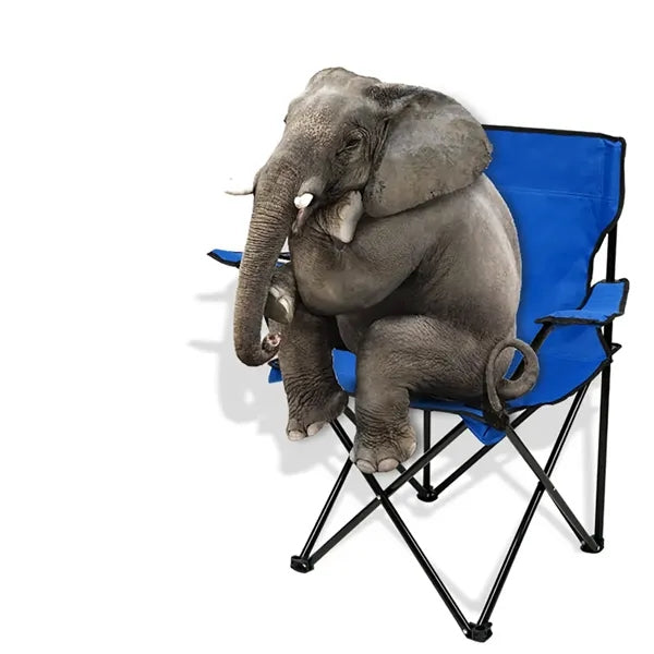 Ultralight Folding Portable Camping Chair