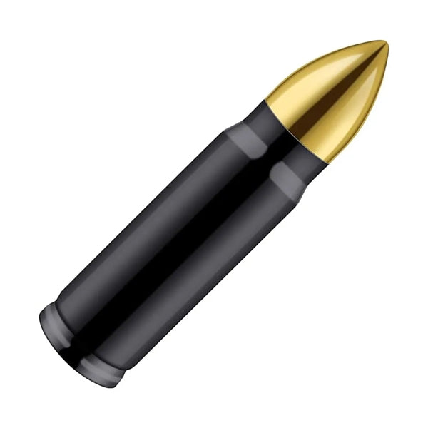 Stainless Steel Bullet Tumblers