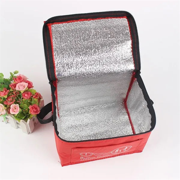 6-Pack Lunch Cooler Bag