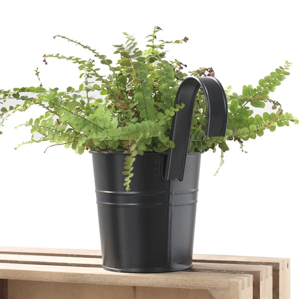 Balcony Small Hanging Flower Pot With Drainage Hole