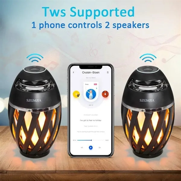 Pathway Light with Bluetooth Speaker