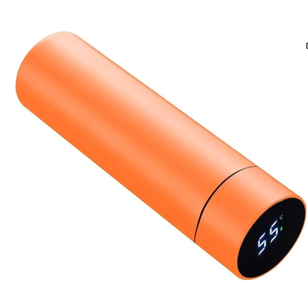 Stainless Steel Insulated Water Bottle