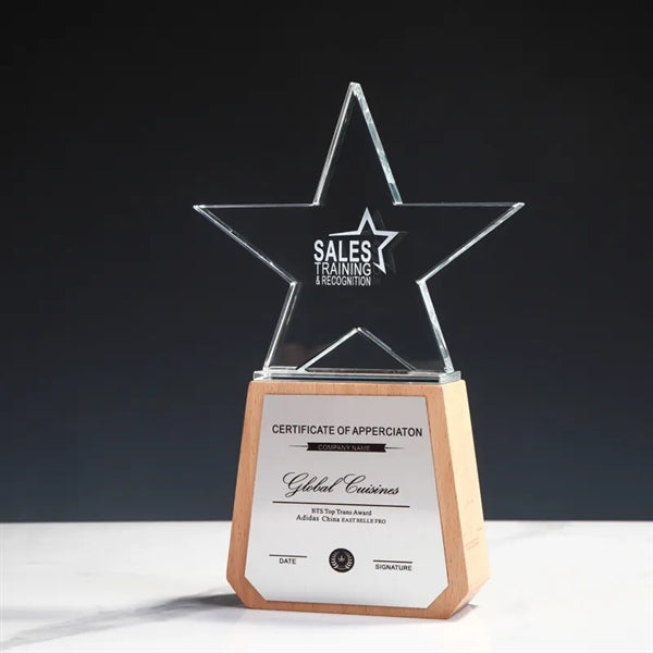 Top Star Award Trophy