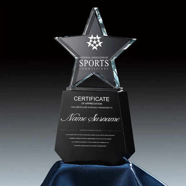 Top Star Award Trophy