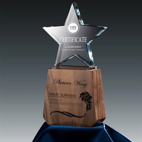 Top Star Award Trophy