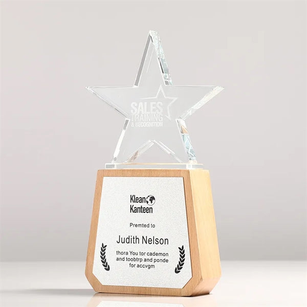 Top Star Award Trophy