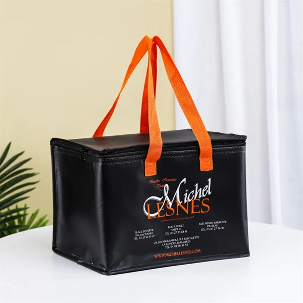 Logo Nylon 6-Pack Insulated Zippered Cooler Bag