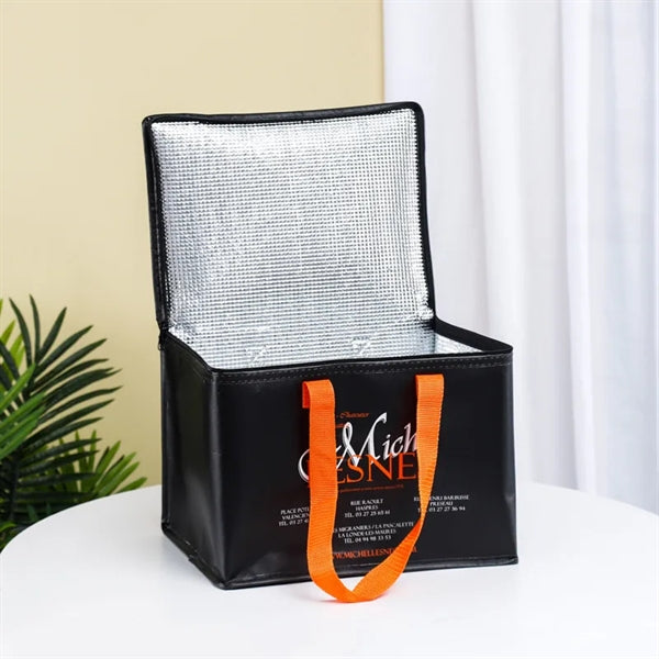 Logo Nylon 6-Pack Insulated Zippered Cooler Bag