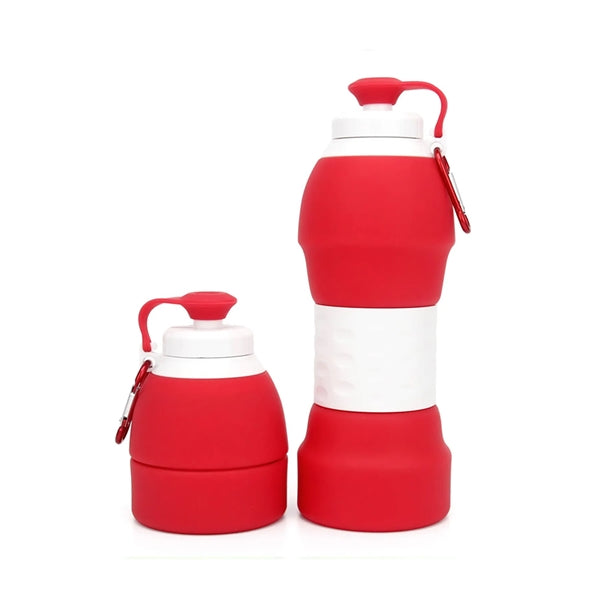 19 oz. Foldable Silicone Water Bottle with Carabiner