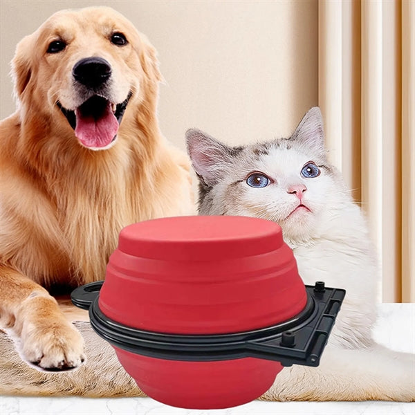 Silicone Collapsible Pet Bowls