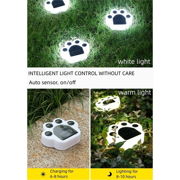 Outdoor Solar Garden Lights