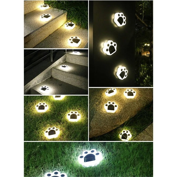 Outdoor Solar Garden Lights