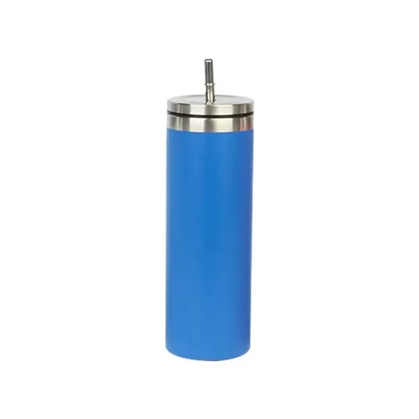 20Oz Stainless Steel Straw Bottle