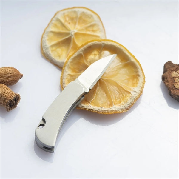 Stainless Steel Pocket Knife