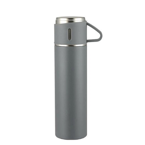 17 Oz Insulated Water Bottle W/ Handle
