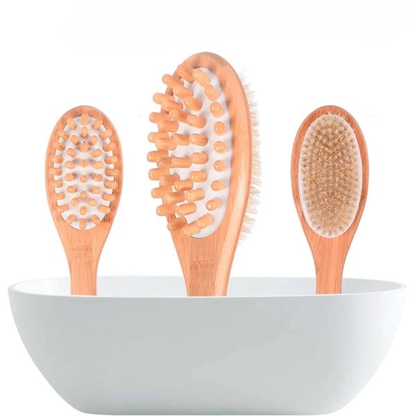 Eco-friendly Wood long handle Bath Brush