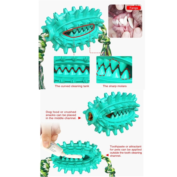 Dog Molar Stick