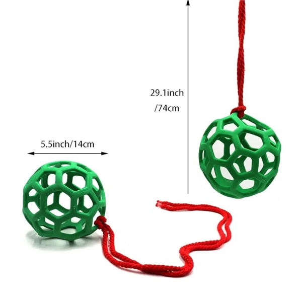 Horse Treat Ball