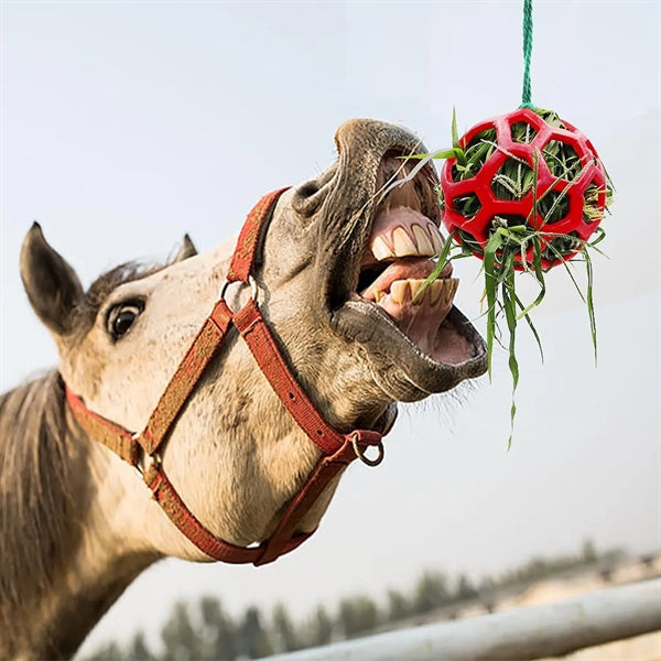 Horse Treat Ball