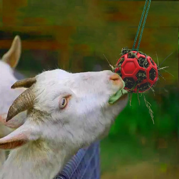 Horse Treat Ball