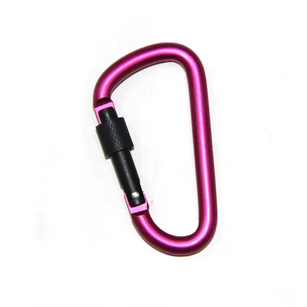 Stainless steel Spring Snap Hook carabiner