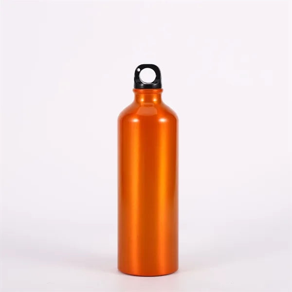 17oz,aluminum sports bottle,logocustomization
