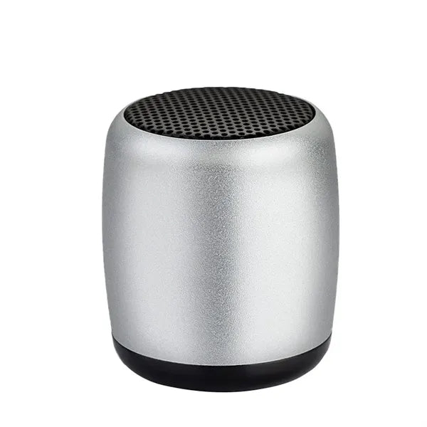 Wireless Mini Speaker