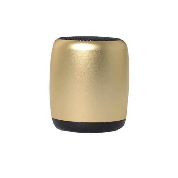 Wireless Mini Speaker