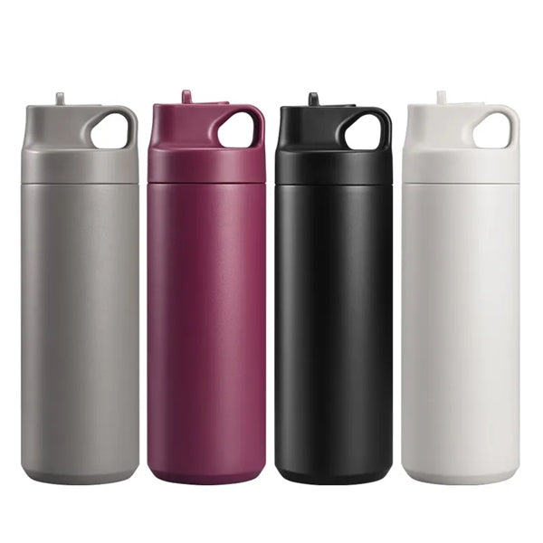17oz Insulated Water Bottle with Straw Lid