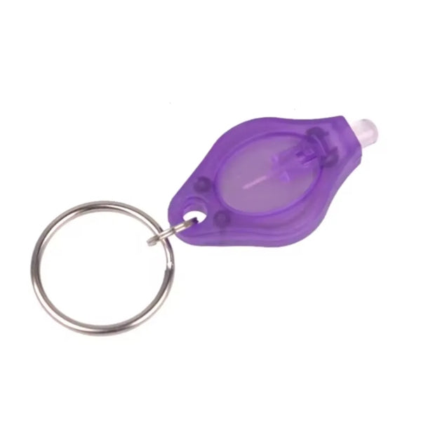 Mini UV LED Keychain