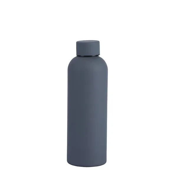 Insulated Stainless Steel Bottle