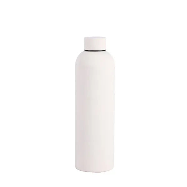Insulated Stainless Steel Bottle