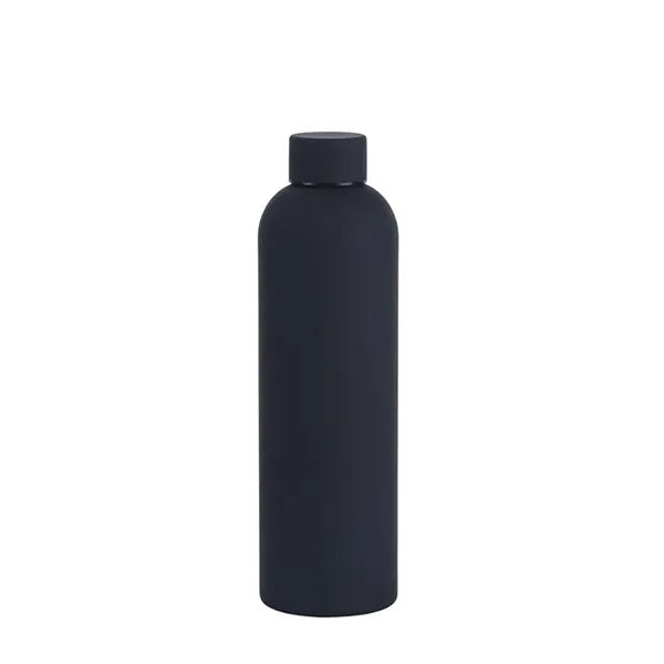 Insulated Stainless Steel Bottle