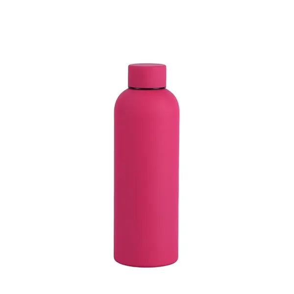 Insulated Stainless Steel Bottle
