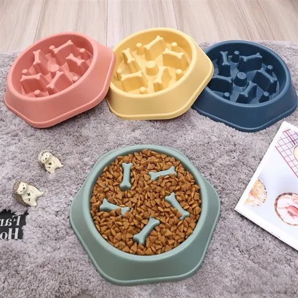 Dog Slow Food Bowl