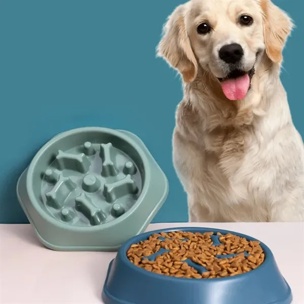 Dog Slow Food Bowl