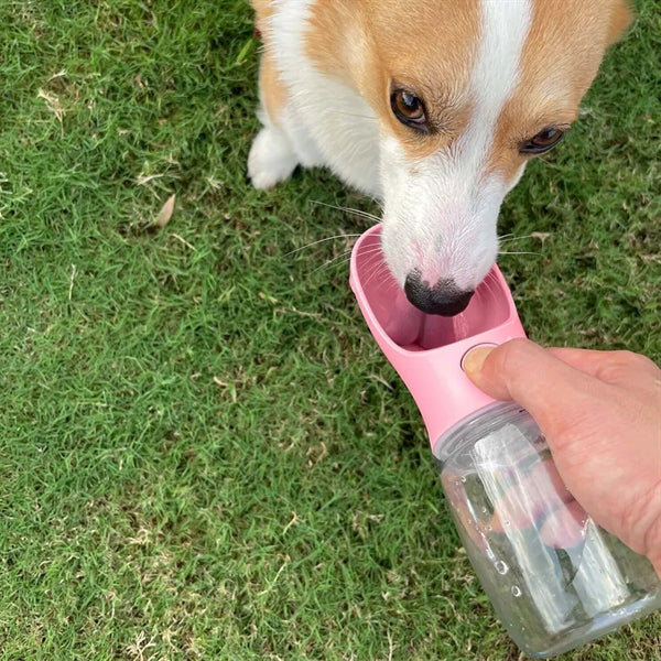 Dog Water Bottle