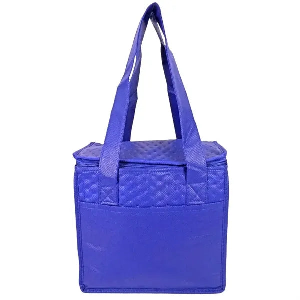 Denali Insulated Convenient Cooler