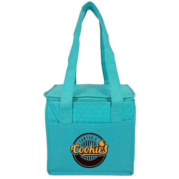 Denali Insulated Convenient Cooler