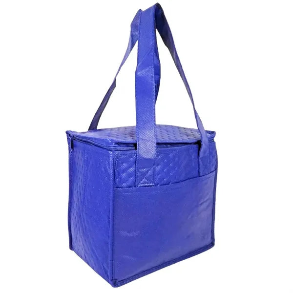 Denali Insulated Convenient Cooler